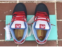 custom nike sb dunks